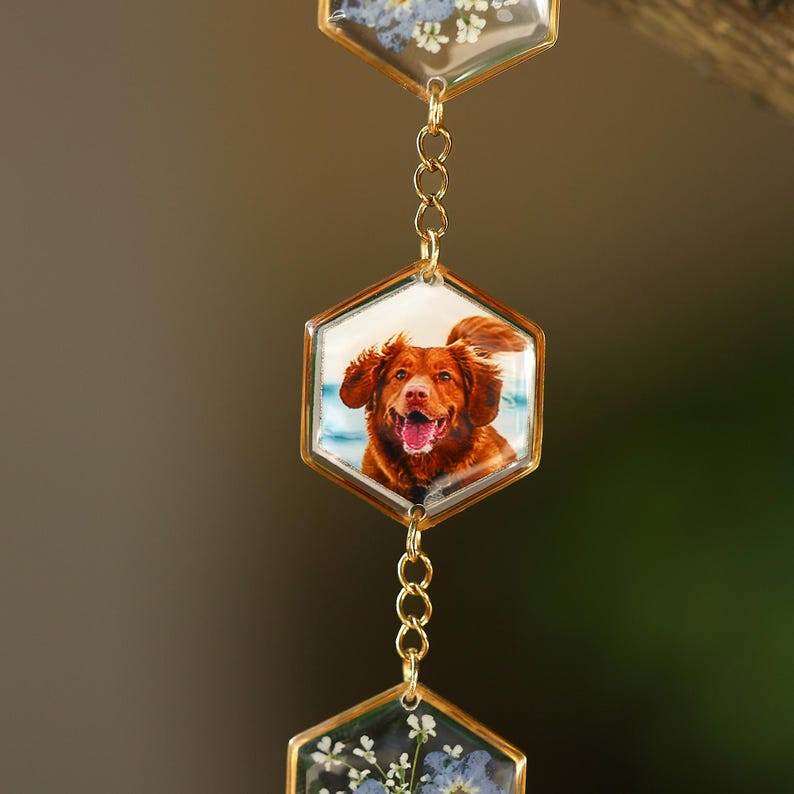 Custom Pet Photo Wind Chime, Forget Me Not Pressed Flowers, Pet Memorial Gift